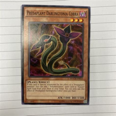 Yugioh Predaplant Darlingtonia Cobra Common Macr En010 1st Ed Lightly Played Ebay