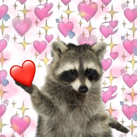 A Raccoon Holding A Red Heart In Front Of A Pink Background With Hearts