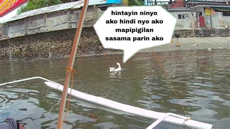 Nanghuli Kami Ng Isda Kasama Parin Namin Ang Aming Aso Si Kapitan