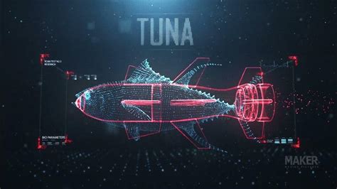 National Geographic Shark Vs Tuna 04 Youtube