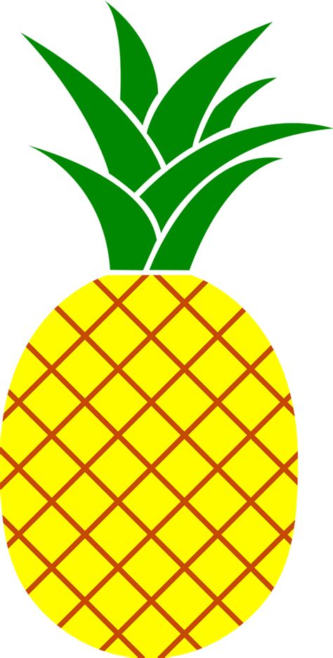 Download Pineapple Fruit Food Royalty Free Vector Graphic Pixabay