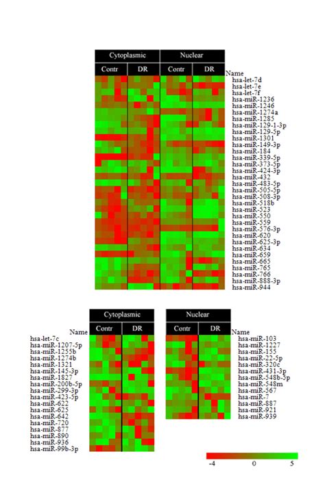 A Heatmap Of Mirna Expression Levels Isolated From Cytoplasmic And Download Scientific Diagram