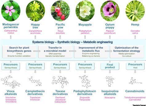 Microbial Products List At Adam Ross Blog