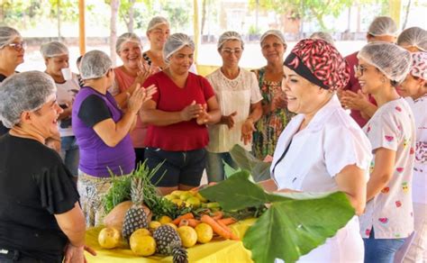 Conselho de Segurança Alimentar do Tocantins abre inscrições às