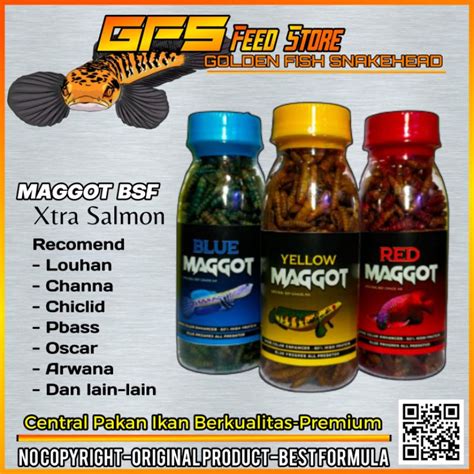 Jual Maggot Bsf Grade Aa Pakan Ikan Predator Kemasan Botol Ml