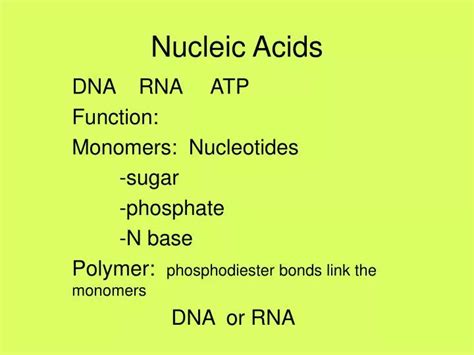 Ppt Nucleic Acids Powerpoint Presentation Free Download Id6832440