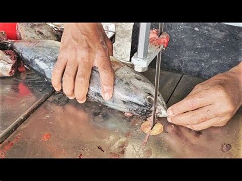 Frozen Tuna Fish Cutting On Machine L Amazing Cutting Skills L Big Tuna