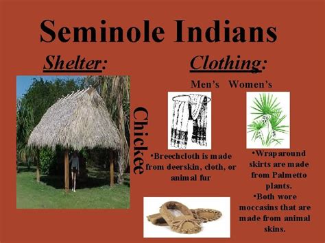 Native Americans By Lauren Powers Seminole Indians Geographical