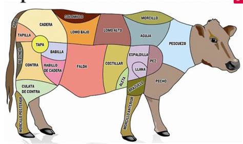 Partes De La Vaca Cocina Y Aficiones