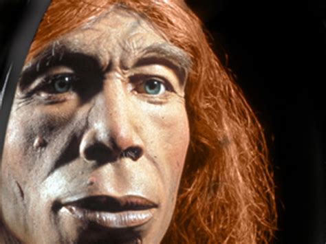 Redheaded Neanderthals Video On