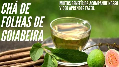 Beneficios Do Cha De Goiaba Retoedu