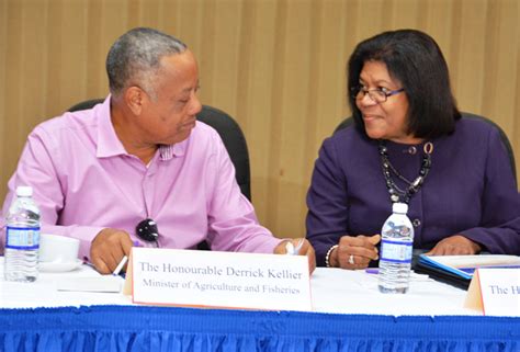 Gov’t Looking To Amend Laws To Increase Praedial Larceny Convictions – Jamaica Information Service