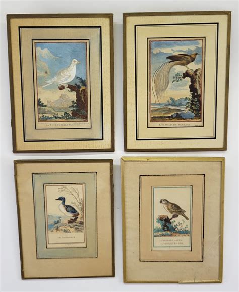 Four Antique Th C French Hand Colored Engravings Of Bird Species