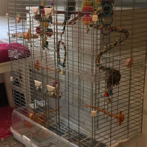 Largetall Vision Bird Cage In B43 Sandwell For £6000 For Sale Shpock