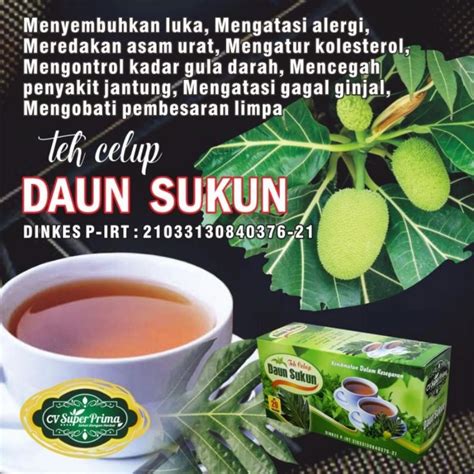 Jual ORIGINAL TEA Teh Celup Herbal Daun Sukun Original Obat Ginjal Dan