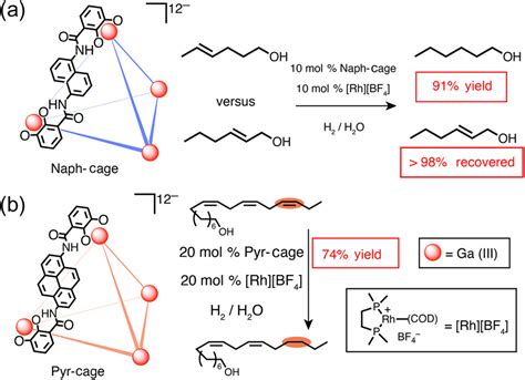 Whither Second Sphere Coordination Ccs Chem