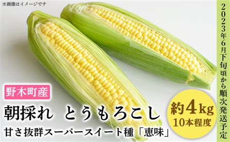 C04とうもろこし 約4kg 恵味 10本入り 朝採れ クール便 野木町産 【2023年6月下旬頃から順次発送予定】 栃木県野木町