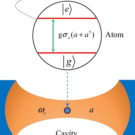 (Color online) Schematic of the quantum Rabi model. A quantum two-level ...