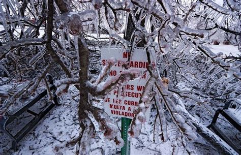 Ice Storm In Arkansas 53 Pics