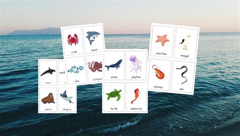 Sea Animals Flashcards For Toddlers FREE Printable - Womanhood And ...