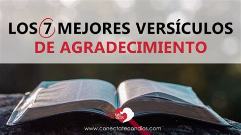 Proverbios de agradecimiento Las palabras de gratitud que fortalecerán