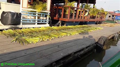 How To Dry Water Hyacinth After Dried Then Dye A Colours YouTube