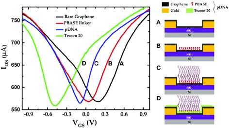 Ids Vgs Characteristics Of The Graphene Field Effect Transistor