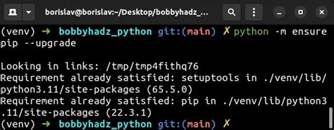 Python Pip No Module Named Pip