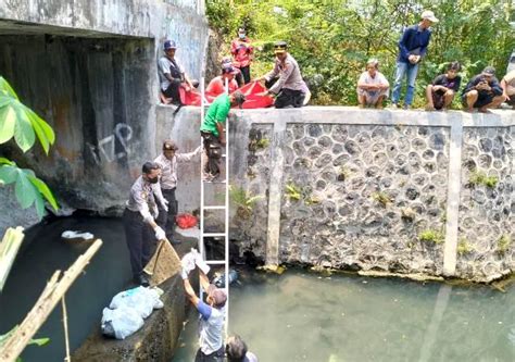 Dua Mayat Bayi Di Sungai Buntung Siapa Punya Dan Tega Membuangnya