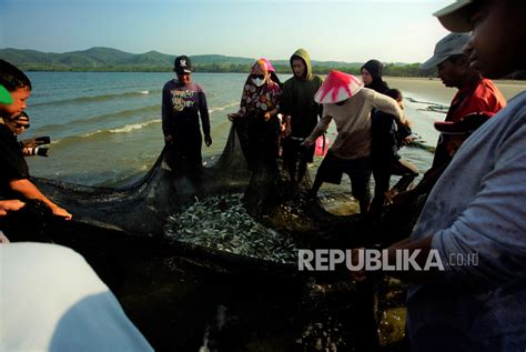 Warga Konawe Jaring Ikan Saat Pasang Hasil Tangkapan Dibagikan Gratis