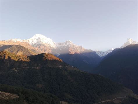 Fra Pokhara 4 nætter 5 dage Poon Hill Ghandruk Trek GetYourGuide