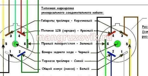 Распиновка разъема легкового прицепа Распиновка розетки прицепа