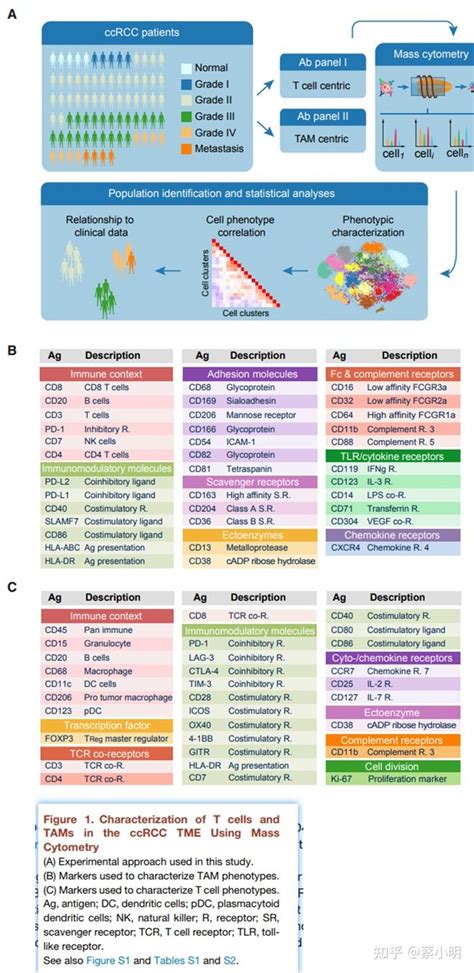 Nid An Immune Atlas Of Clear Cell Renal Cell Carcinoma