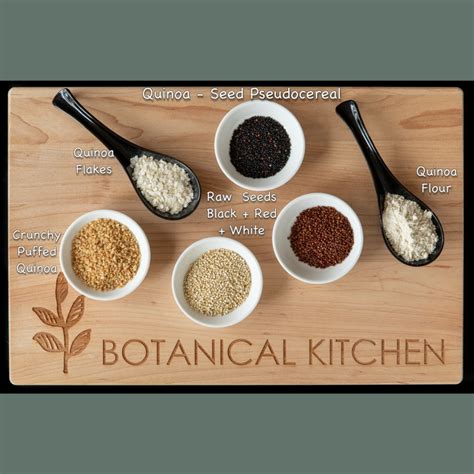 How to cook + use Quinoa Plant-based Protein | Recipes Botanical Kitchen