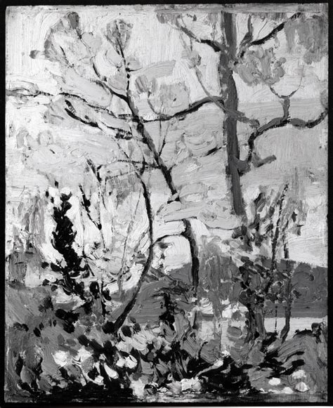 Fall Tree Sketch at PaintingValley.com | Explore collection of Fall Tree Sketch