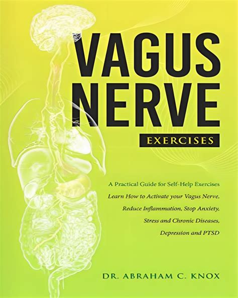 Vagus Nerve Exercises: A Practical Guide for Self-Help Exercises. Learn ...