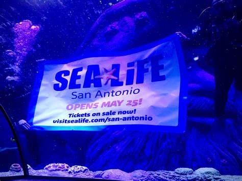 SEA LIFE San Antonio Grand Opening in San Antonio at SEA LIFE San