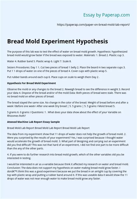 Bread Mold Experiment Hypothesis Free Essay Example