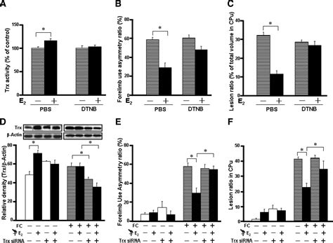 Sex Specific Role Of Thioredoxin In Neuroprotection Against Iron