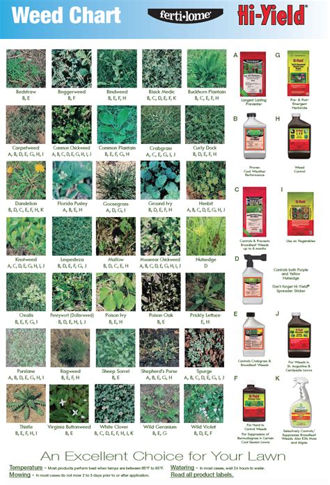 Weed Identification Chart