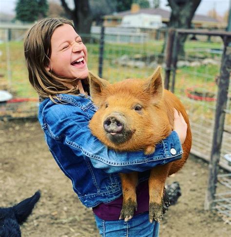 Breed Standard Idaho Pasture Pig Registry LLC