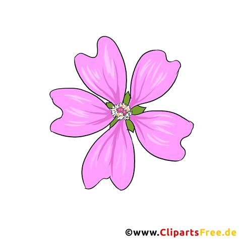 Clipart De Flores De Malva Malva Extra Do De Una Foto Gratis