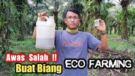 Membuat Campuran Biang Pupuk Eco Farming Perkebunan Kelapa Sawit