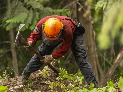 Slocan Bc No Longer Under Wildfire Evacuation Order The Weather