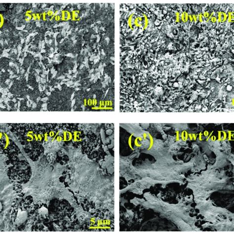 Cell Growth Morphology Of Mg63 Cells At 3 D On Coatings With Different