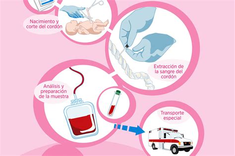 Conservación del cordón umbilical