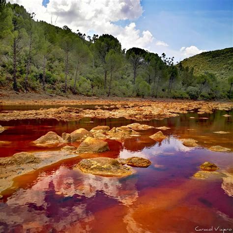 Visita A Minas De Riotinto Parque Minero De Riotinto Caracol Viajero