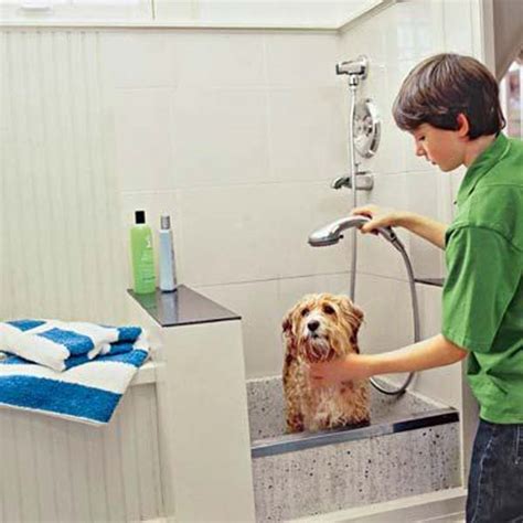 17 Insanely Cool Bathroom Ideas For Your Doggies Amazing Diy