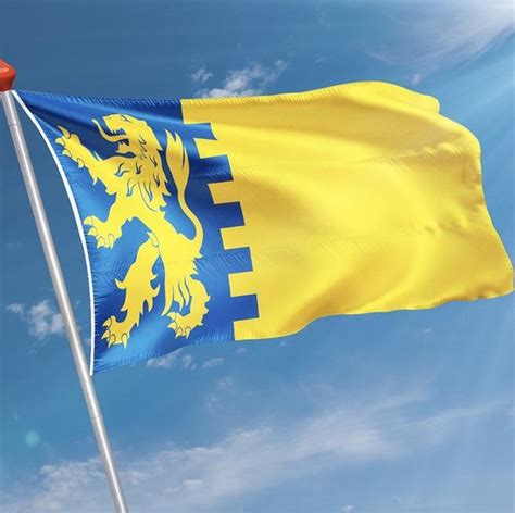 Vlag Schelluinen X Cm Polyester Bol