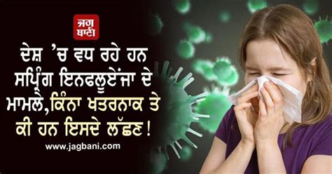 ਦੇਸ਼ ਚ ਵਧ ਰਹੇ ਹਨ ਸਪ੍ਰਿੰਗ ਇਨਫਲੂਏਂਜਾ ਦੇ ਮਾਮਲੇ ਕਿੰਨਾ ਖਤਰਨਾਕ ਤੇ ਕੀ ਹਨ